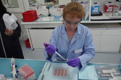 科技與美的碰撞 記者探訪歐萊雅研發(fā)中心與工廠，揭秘圣羅蘭美妝與人造皮膚創(chuàng)新